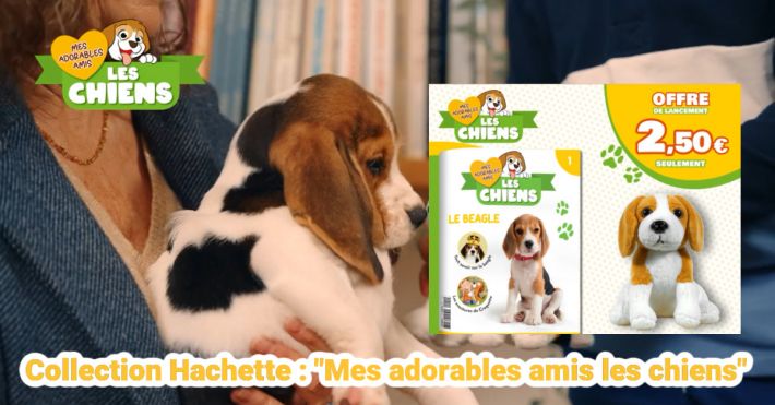 Collection peluches mes adorables amis les chiens Hachette